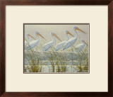 Bounty of the Wetlands (detail) Posters by Robert Bateman