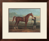 Racehorse Shakespeare Art by R. Roper