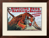 Ringling Bros and Barnum & Bailey Posters