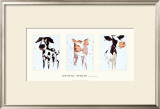 Animal Magic Poster by Kate Moore