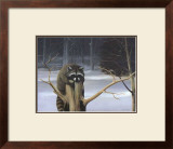 Mischief on a Stump Prints by David Jean