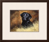 Black Labrador Limited Edition Framed Print by Richard Britton