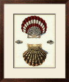 Studies in Symmetry IV Posters by George Wolfgang Knorr