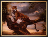 Leopard in Tree Prints by Silvia Duran