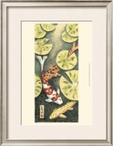 Koi Pond I Prints by Chariklia Zarris