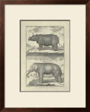 Elephant and Rhino Prints by Denis Diderot
