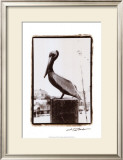Pelican Perch Poster by Laura Denardo