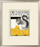 Squirrel with Corn, c.1922 Framed Giclee Print by Charles Livingston Bull