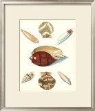 Studies in Symmetry VI Posters by George Wolfgang Knorr