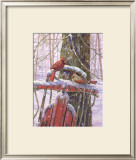 Red Sled with Cardinals Prints by Donna Race