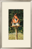 Birdhouse II Prints by Chuck Huddleston