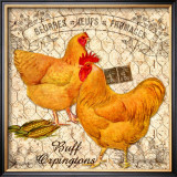 Country Buff Oringtons Framed Giclee Print