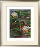 Frog in Lily Pond Poster by Durgin 