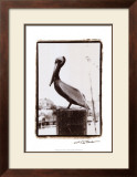 Pelican Perch Posters by Laura Denardo