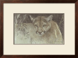 Tropical Cougar Prints by Robert Bateman