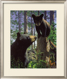 Stump Jumper Prints by Bruce Miller