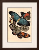 Butterflies I Print by E. A. Seguy