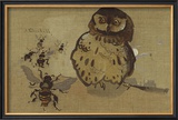 Owl And Bee Limited Edition Framed Print by Joseph Crawhall