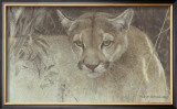 Tropical Cougar Prints by Robert Bateman