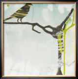 Early Bird Posters by Gina Miller