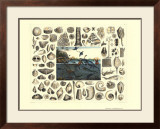 Dinosaurs I Poster by G. Heck