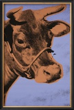 Cow, c.1971 (Purple and Orange) Print by Andy Warhol