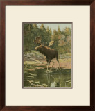 Moose Prints by Oliver Kemp