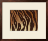 Tiger I Prints by Norman Wyatt Jr.