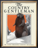 Beaver in Winter, c.1916 Framed Giclee Print by Charles Livingston Bull
