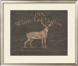 White Tail Hollow Poster by Stephanie Marrott