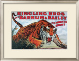 Ringling Bros and Barnum & Bailey Posters