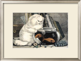 Persian Cat and Gold Fish Art by Ebby Hoyt