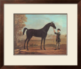 Racehorse Othello Print by R. Roper