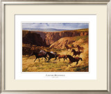 Canyon Mustangs Prints by John Leone