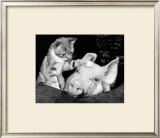 Paws For Thought Art