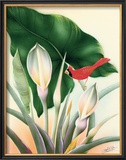 Cardinal Framed Giclee Print by Frank Oda