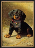Puppy Print by H. Sperling
