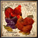 Country Partridge Cochin Framed Giclee Print