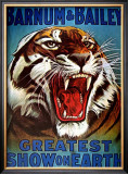 Barnum & Bailey, 1916 Posters