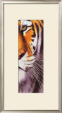 Tiger Eye Art by Ridder 