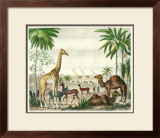 African Animals II Prints by G. Heck
