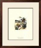 Flight of the Bee I Prints by Sydenham Teast Edwards