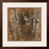 Birchwood Buck Prints by Collin Bogle