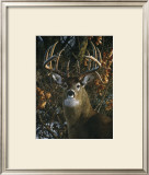 An Autumn Gentleman Prints by Carl Brenders
