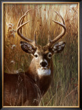 Power and Grace Prints by Carl Brenders