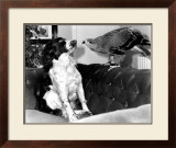 Jagger and His Friend Bow Posters