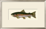 Steelhead Trout Poster by Teri Renee Blehm