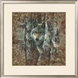 Woodland Spirit Prints by Collin Bogle