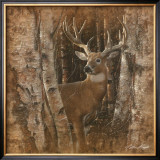 Birchwood Buck Posters by Collin Bogle