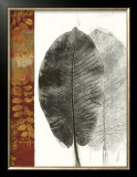 Leaf Study I Prints by Kerry Vander Meer